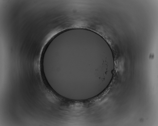 X0000103940196200809261733