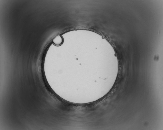 X0000103940197200809261733