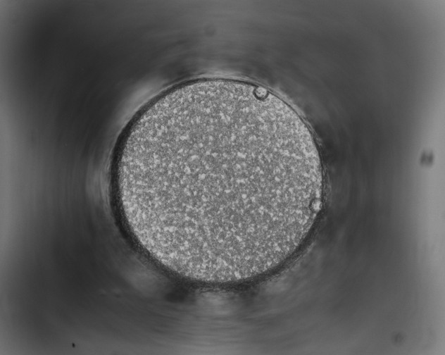 X0000103940199200809261733