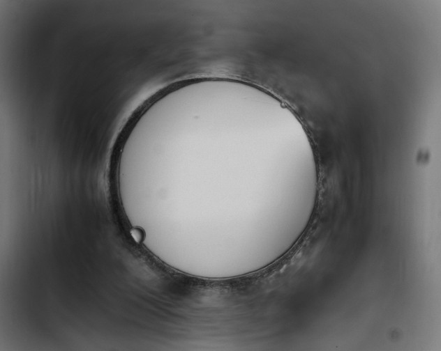 X0000103940200200809261733