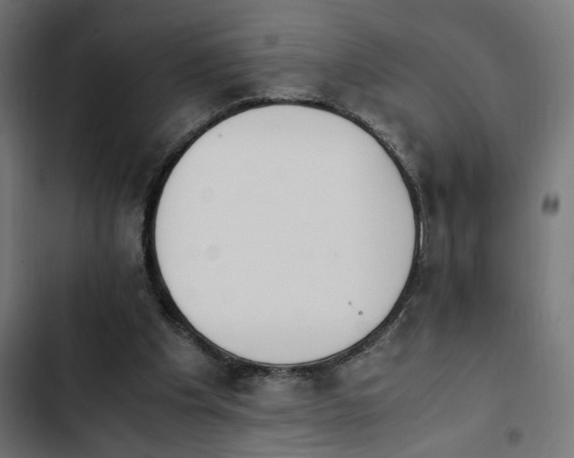 X0000103940201200809261733