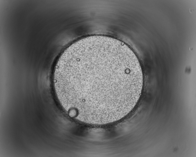 X0000103940203200809261733