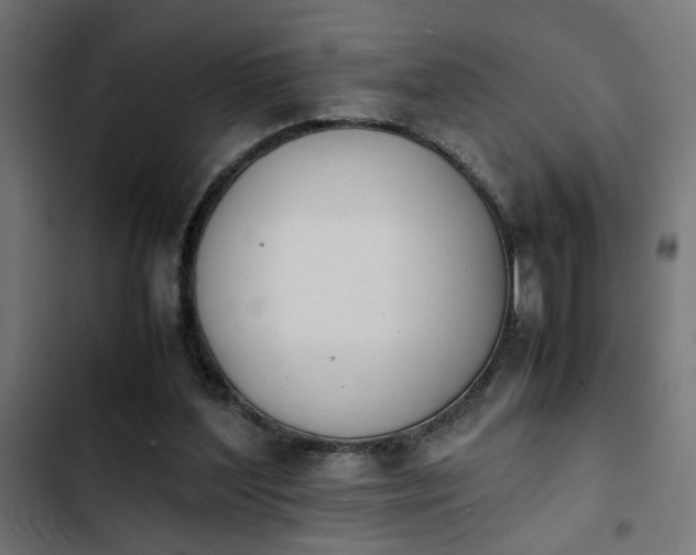 X0000103940204200809261733