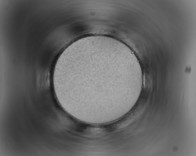 X0000103940205200809261733