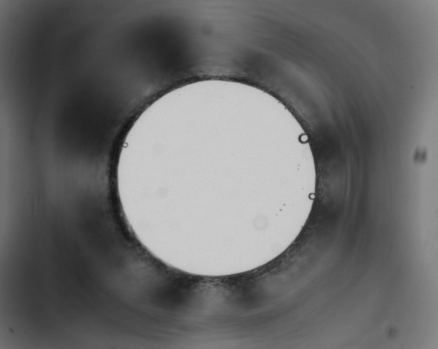 X0000103940207200809261733