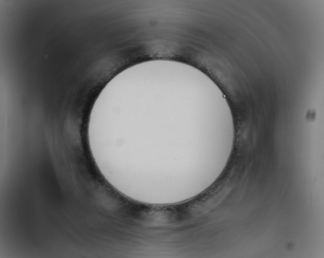 X0000103940209200809261733