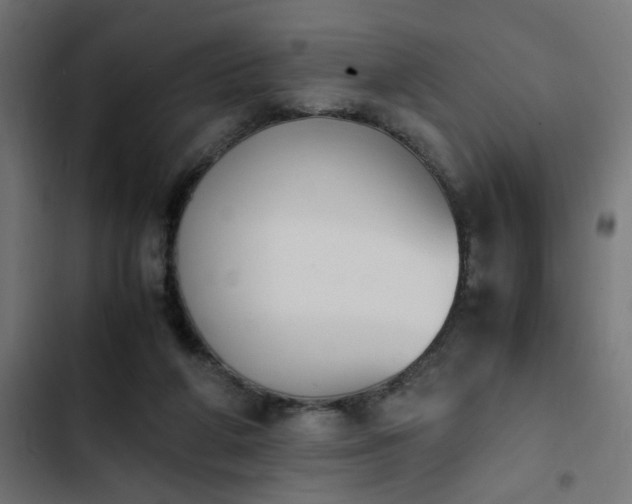 X0000103940210200809261733