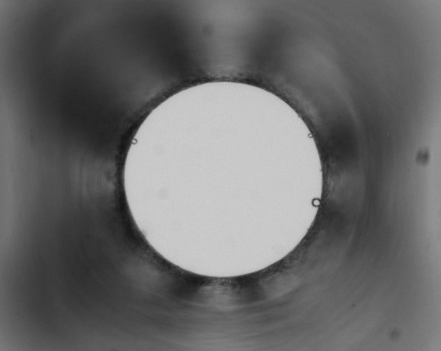 X0000103940211200809261733