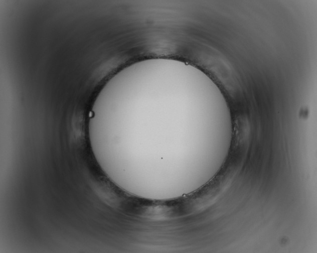 X0000103940212200809261733