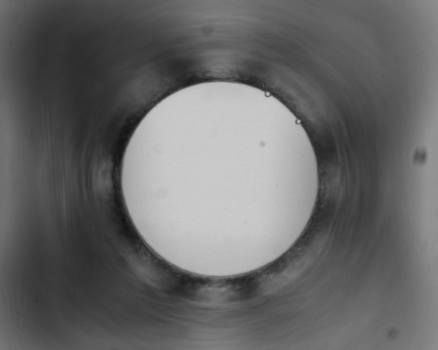 X0000103940213200809261733