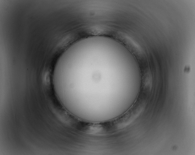 X0000103940214200809261732