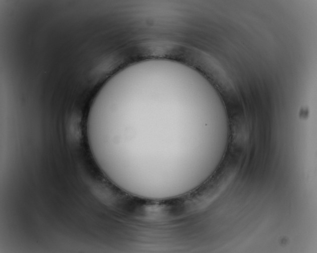 X0000103940216200809261732