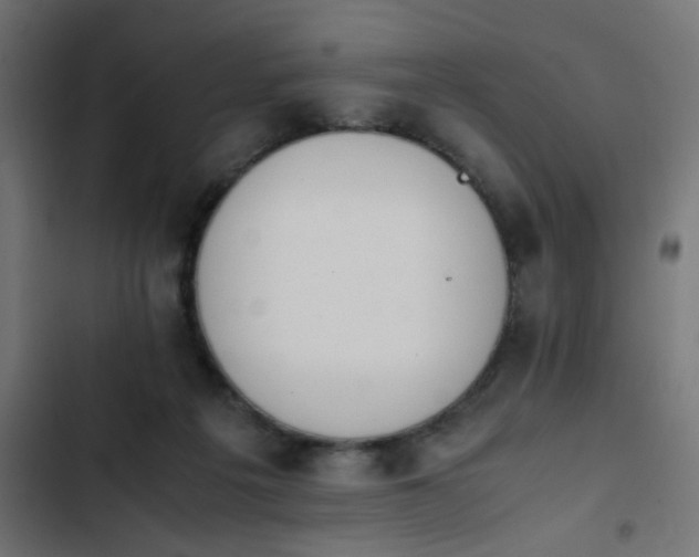 X0000103940217200809261732