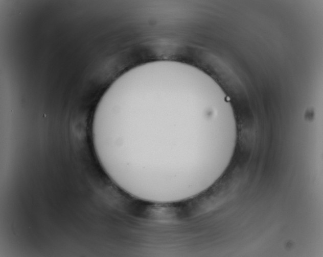 X0000103940221200809261732