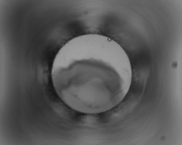 X0000103940223200809261732