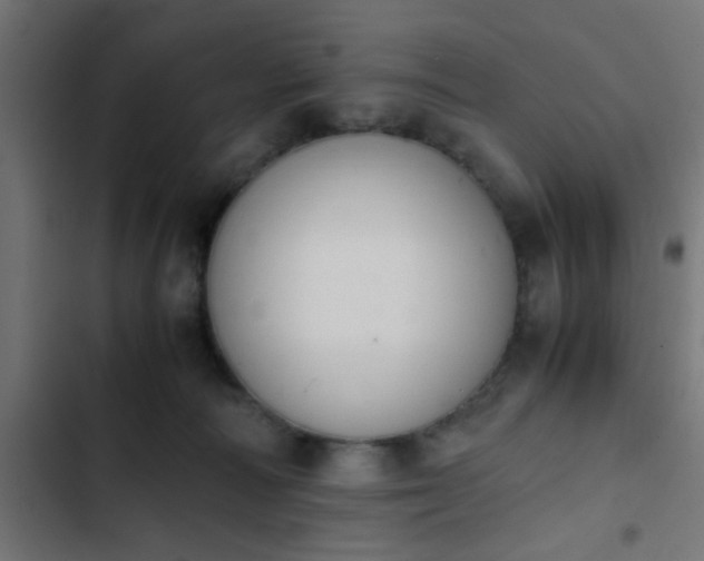 X0000103940226200809261732