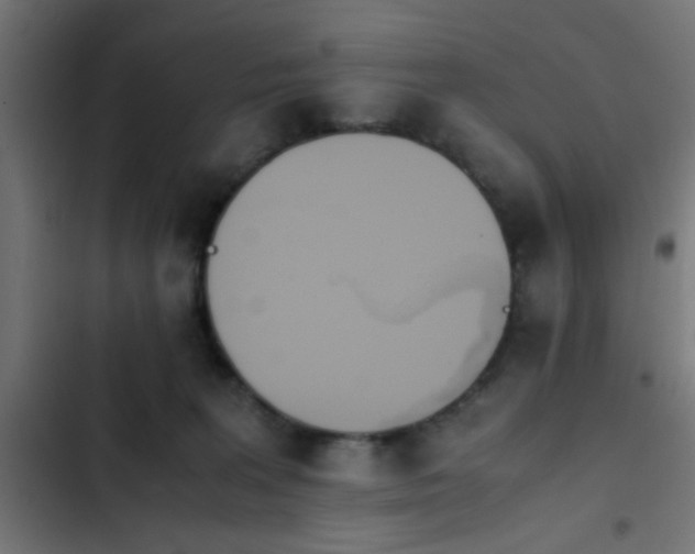 X0000103940227200809261732