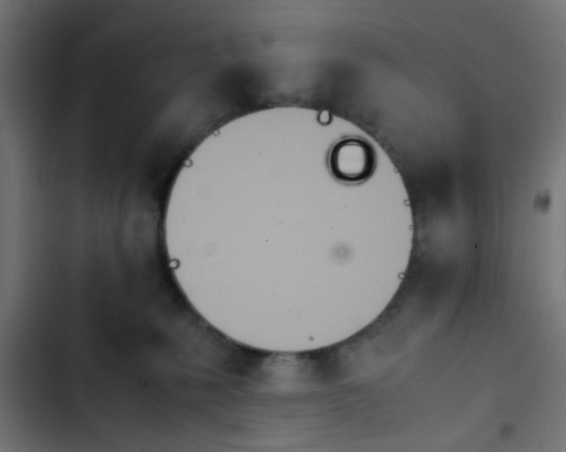 X0000103940231200809261732