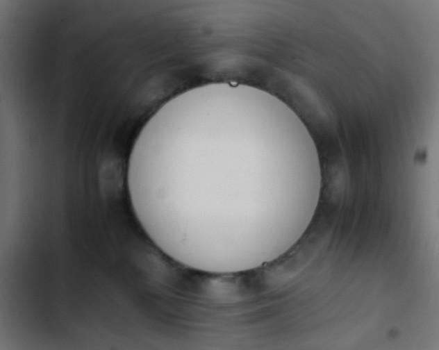 X0000103940232200809261732