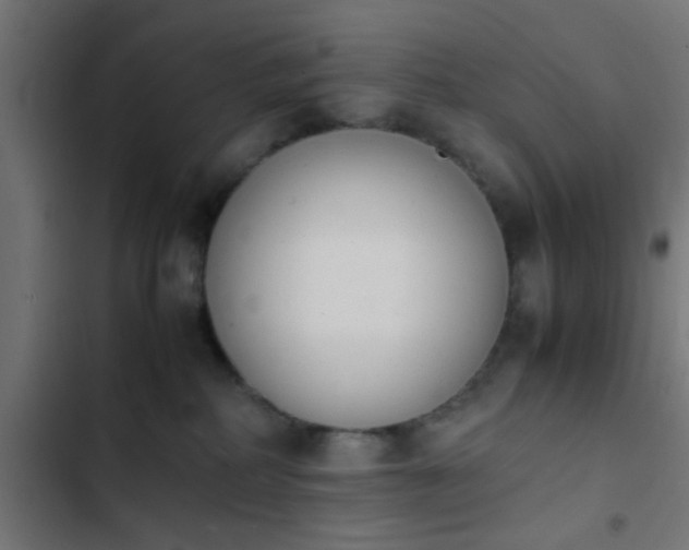 X0000103940234200809261732