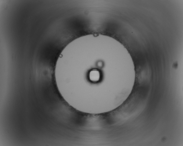 X0000103940235200809261732