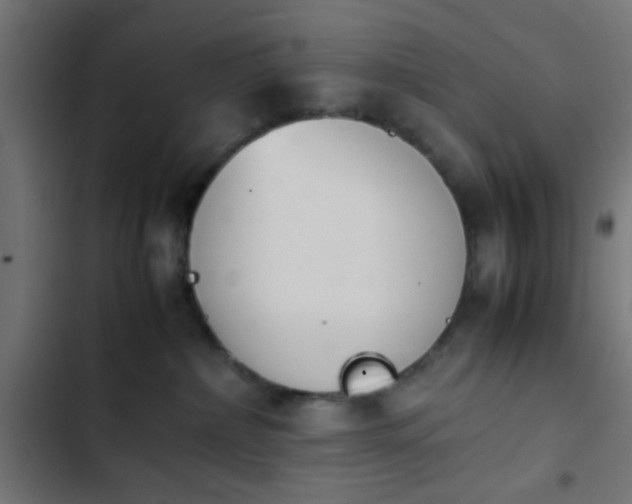 X0000103940236200809261732