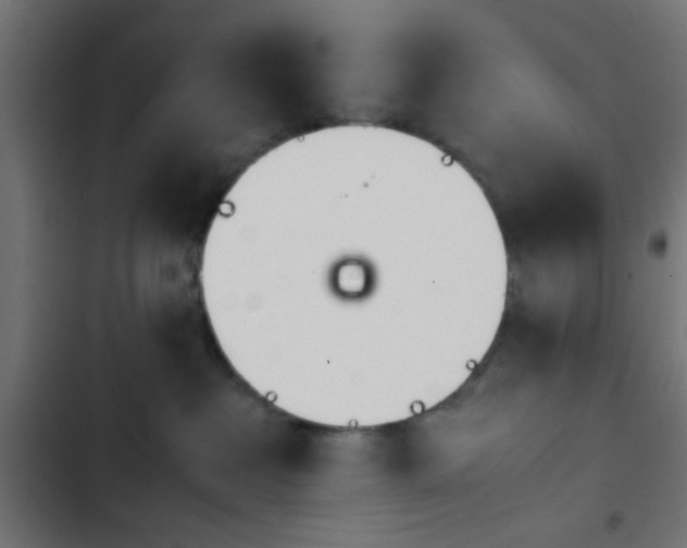 X0000103940237200809261732