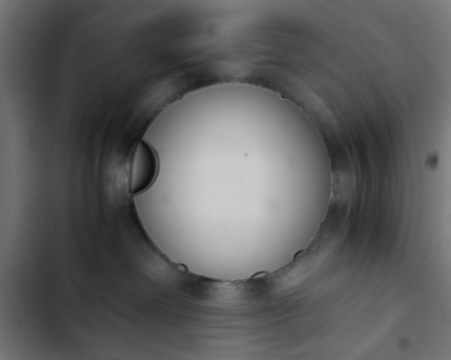 X0000103940238200809261732