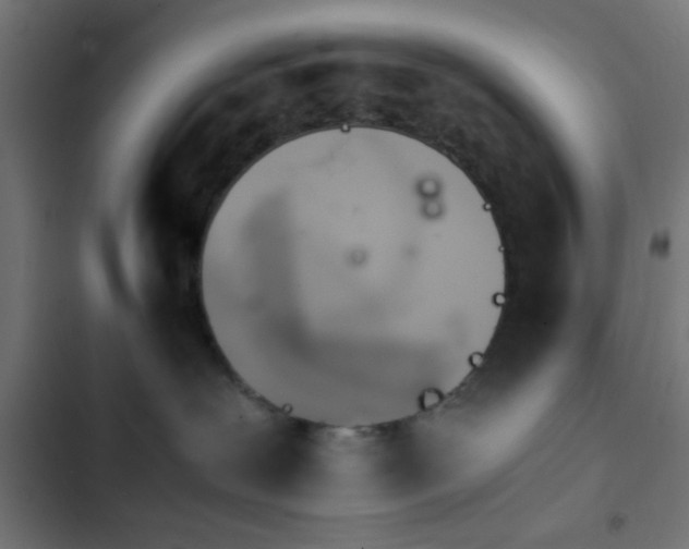 X0000103940239200809261732