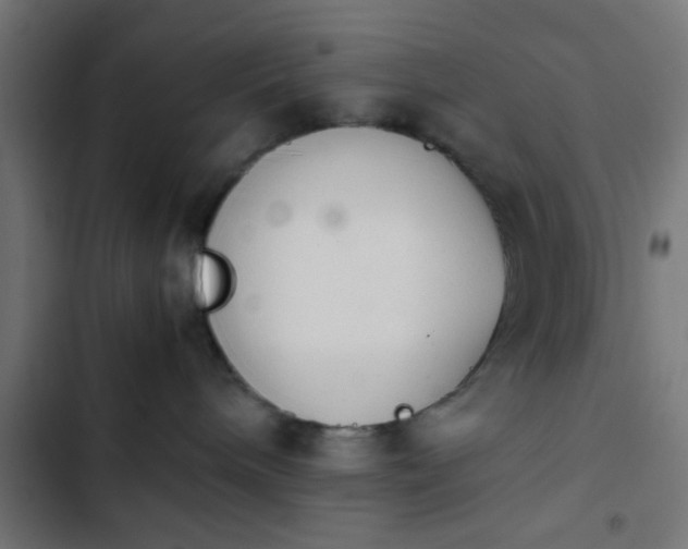 X0000103940240200809261732