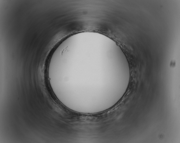 X0000103940242200809261731