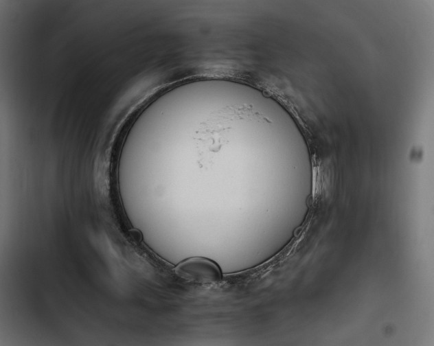 X0000103940243200809261731