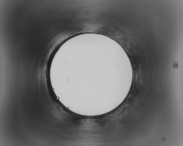 X0000103940244200809261731