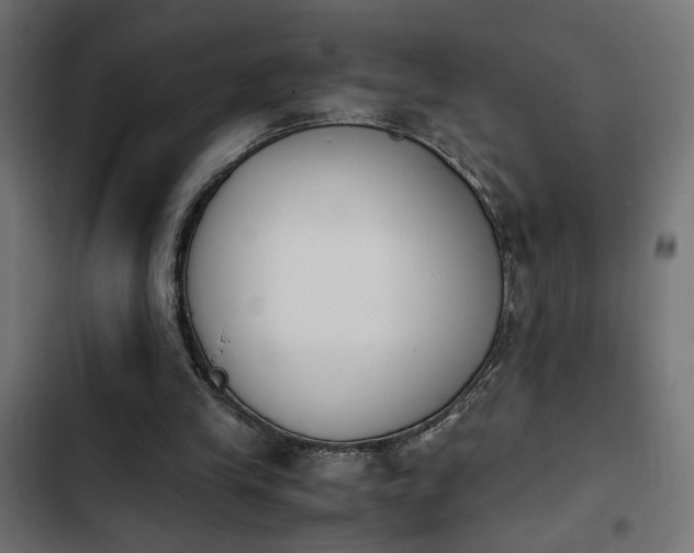 X0000103940245200809261731