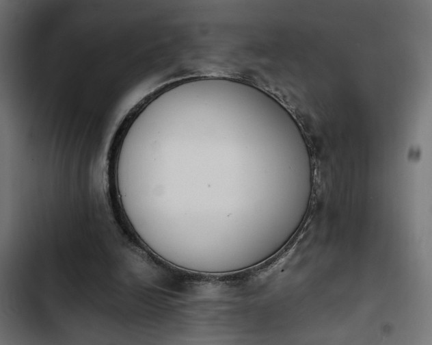 X0000103940246200809261731