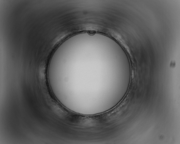 X0000103940249200809261731