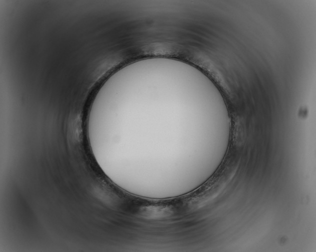 X0000103940251200809261731