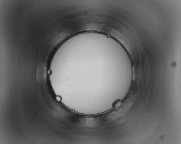 X0000103940253200809261731