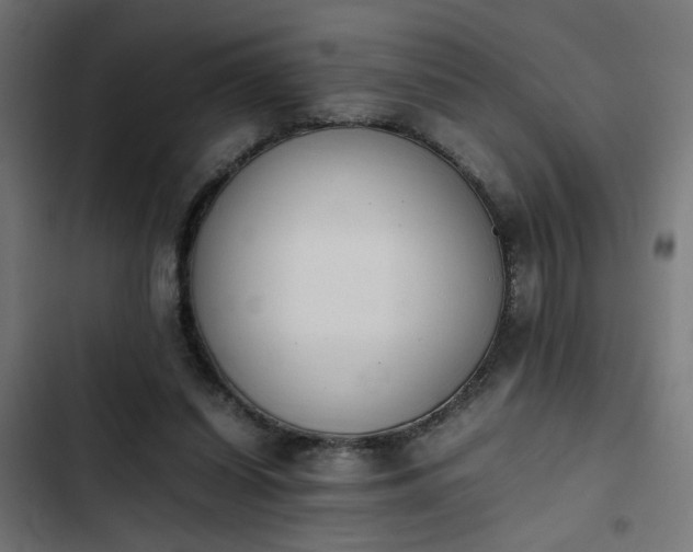 X0000103940254200809261731