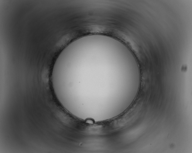 X0000103940257200809261732