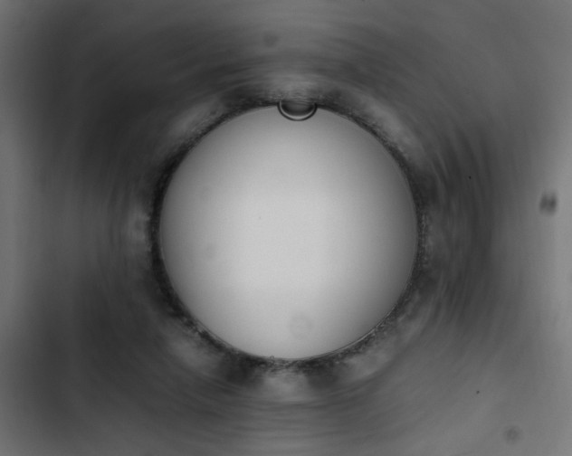 X0000103940258200809261732