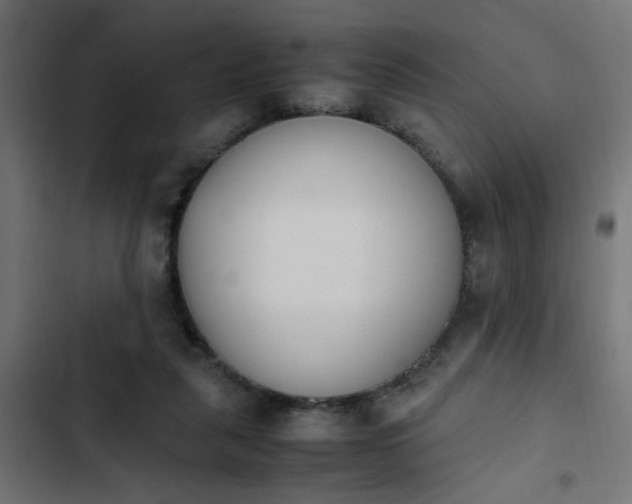 X0000103940259200809261732