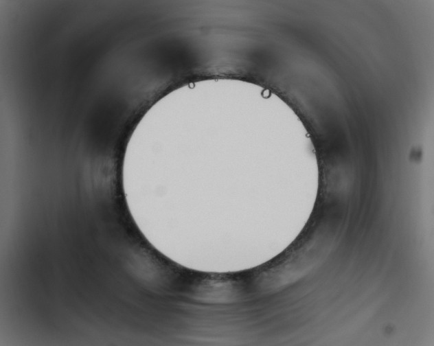 X0000103940260200809261732