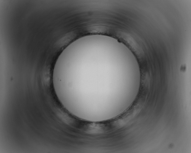 X0000103940261200809261732