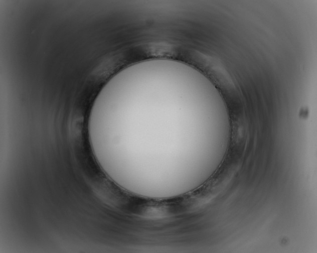 X0000103940263200809261732