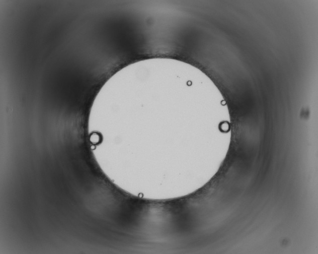 X0000103940264200809261732