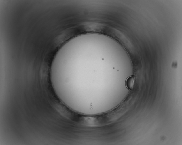 X0000103940265200809261732