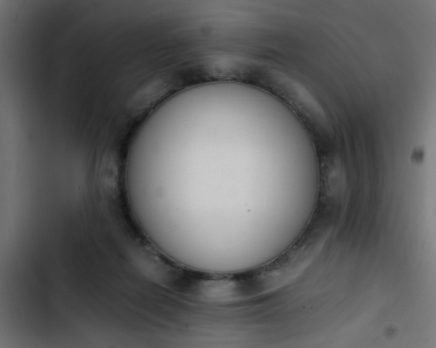 X0000103940266200809261732