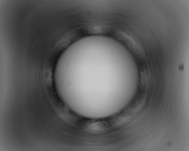 X0000103940267200809261732