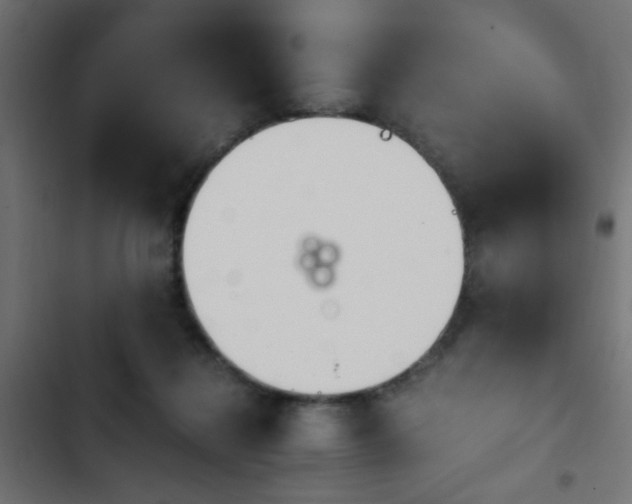 X0000103940268200809261732